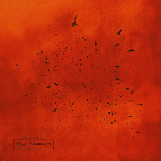 ØRGANEK PRZEDSTAWIA KLIP DO „NIEMIŁOŚĆ”