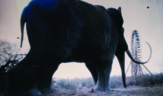 Kombajn do zbierania kur po wioskach: posłuchaj albumu przed premierą!