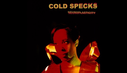 Cold Specks: nowy utwór!