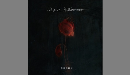 ØRGANEK: album „Czarna Madonna” już dostępny!